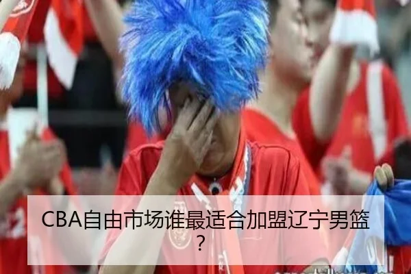 CBA自由市场谁最适合加盟辽宁男篮？ | ayx.com